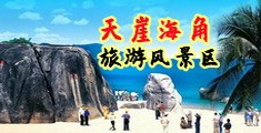 男女黄色日皮视频网站海南三亚-天崖海角旅游风景区