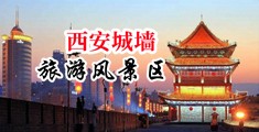 免费看操逼视频地址中国陕西-西安城墙旅游风景区